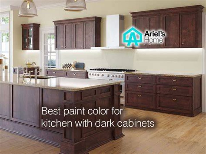 Quick Answer: What Color Goes Best With Dark Cabinets??