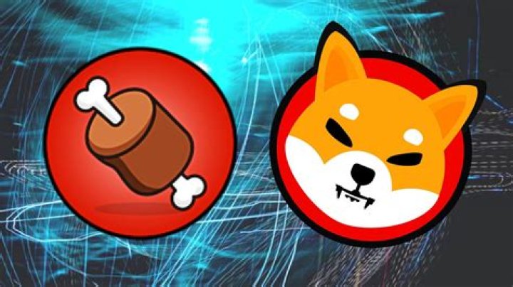 Shiba Inu logo and BONE token for the Doggy DAO Phase 2