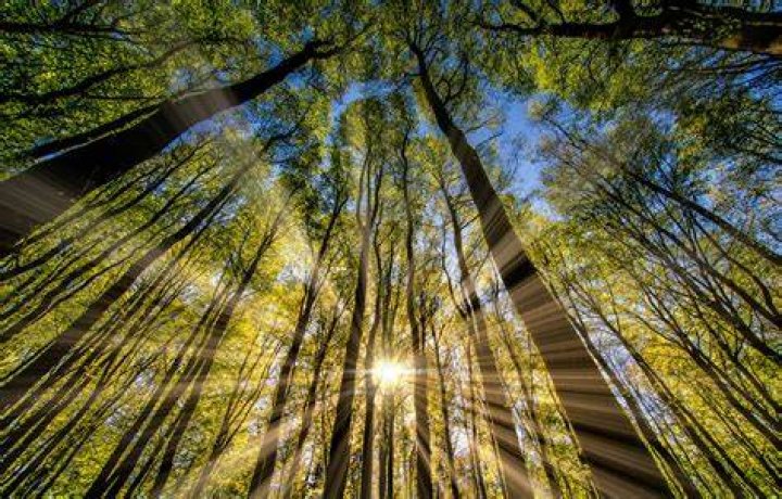 Sunlight may trigger hormone that makes men hungrier, study suggests | Biology