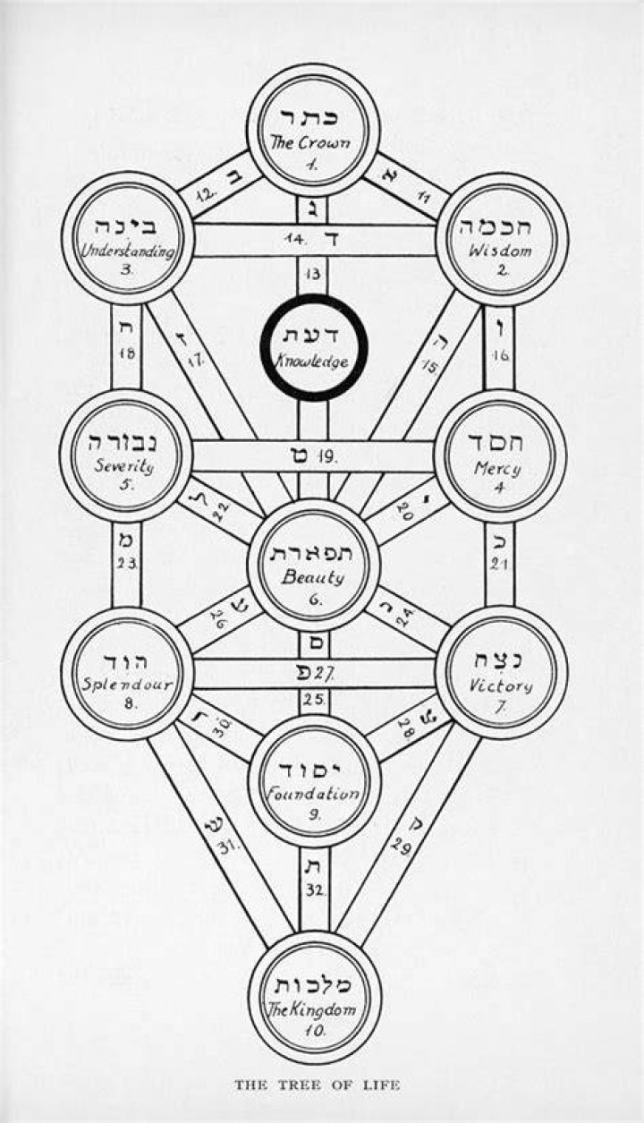 The Jewish Americans . A Tree of Life