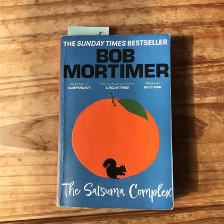The Satsuma Complex by Bob Mortimer review – the sleuth is out there