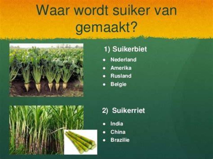 Waar Komt Suiker Vandaan Land? (Correct answer)