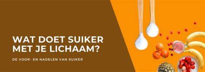 Wat Doet Suiker Met Ons? (Perfect answer)