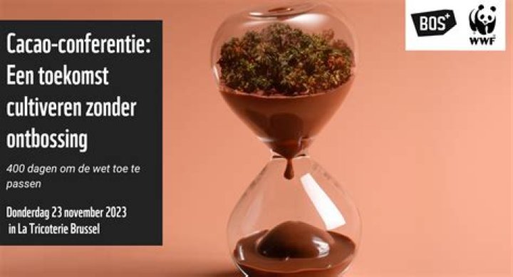 Wat Is Bittere Chocolade? (Solution found)