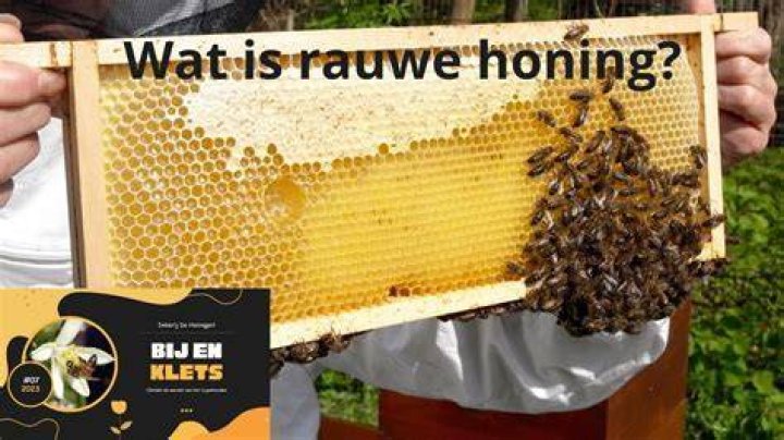 Wat Is Goede Honing? (Perfect answer)
