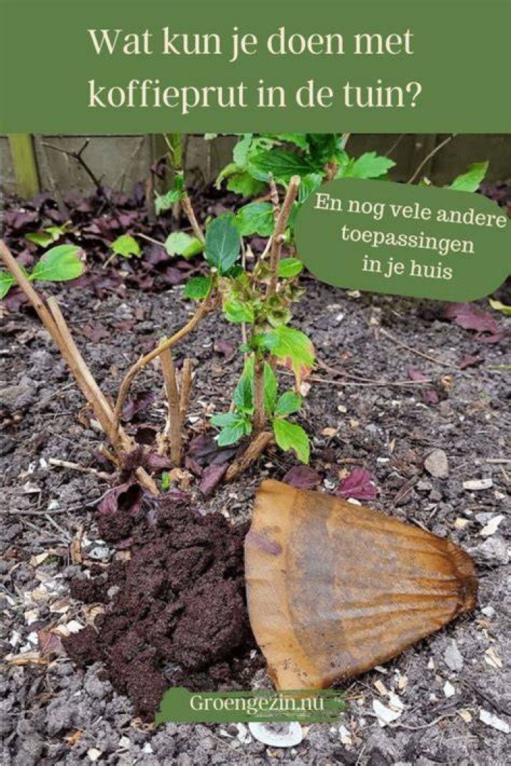 Wat Kun Je Doen Met Gesmolten Chocolade? (Solution found)