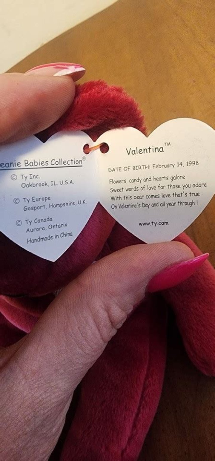 What Are Ty Valentina Errors? (TOP 5 Tips)