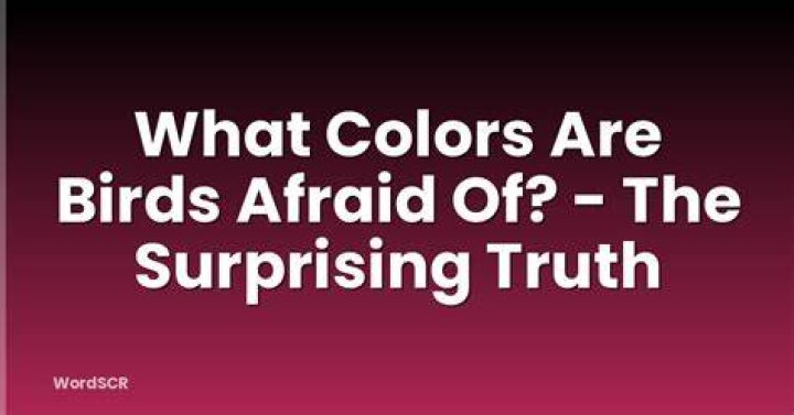 What colors are birds afraid of?