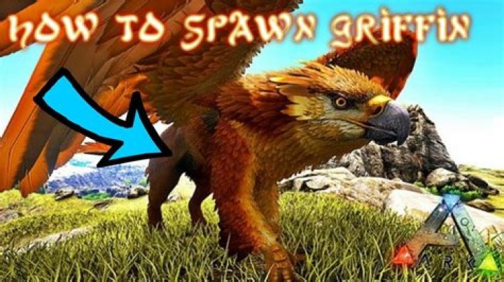 What does a Griffin eat ark?