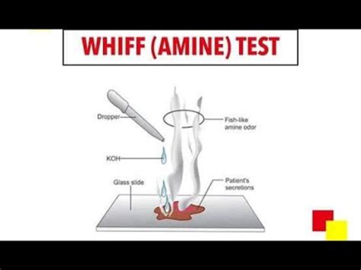 What does a positive whiff test mean?