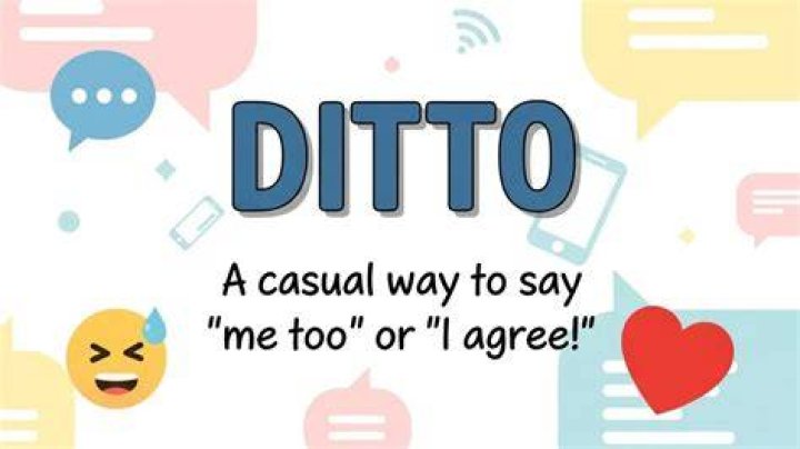 What does ditto mean in a relationship?