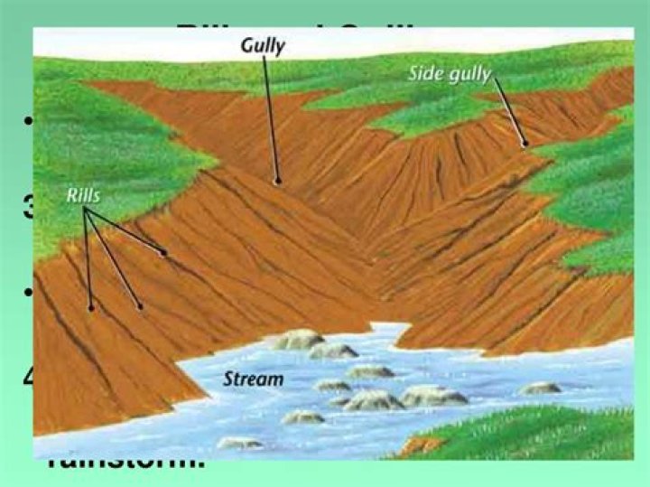 What does gully mean in Jamaica?