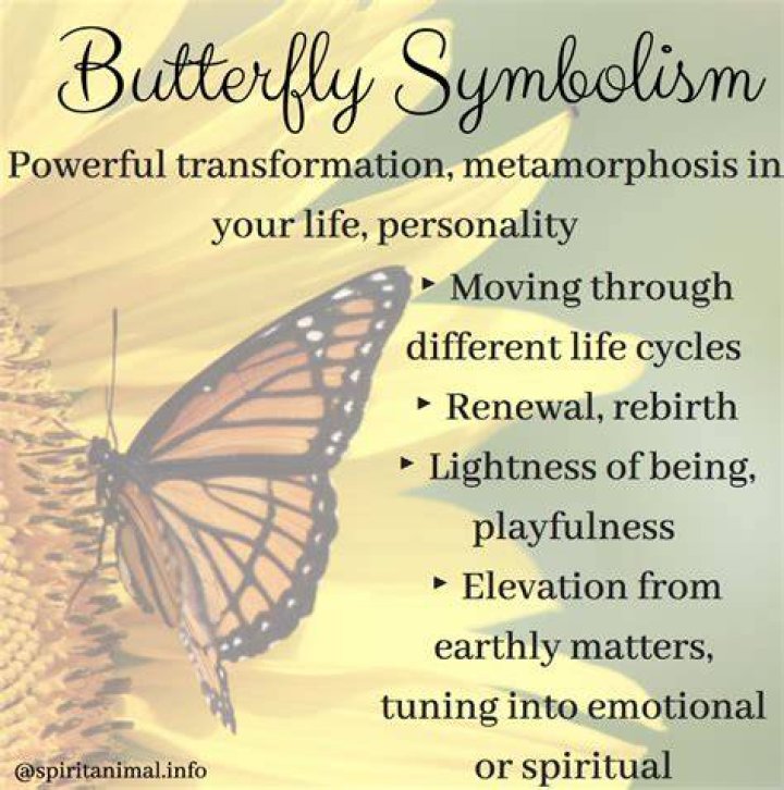 What does the butterfly tongue symbolize?