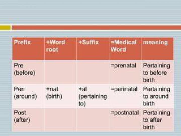 What Does The Medical Prefix Peri Mean? (Solution found)