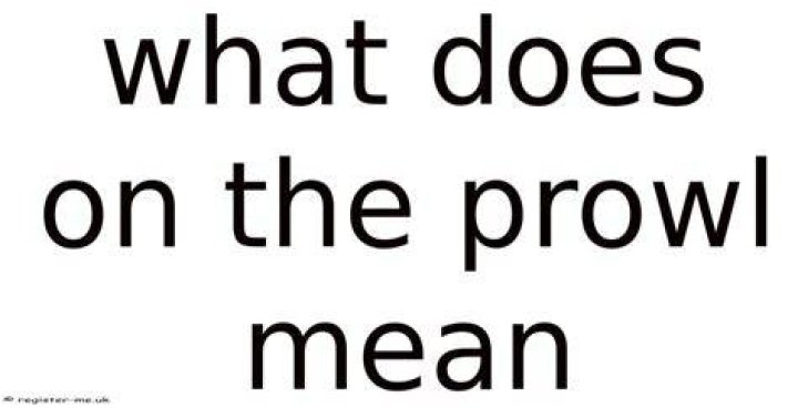 What does the phrase on the prowl mean?