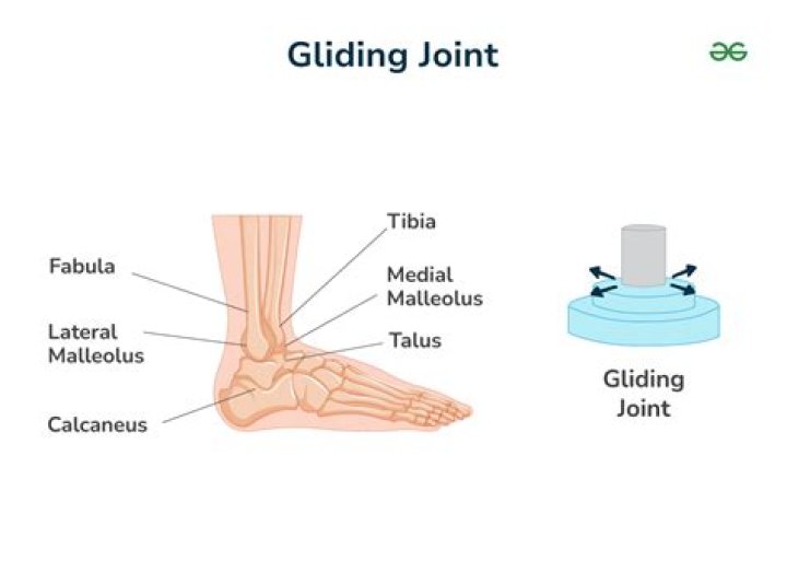 What is a gliding joint example?