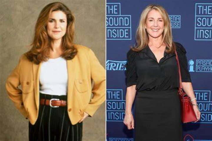 What Is Peri Gilpin Doing Now? (Solution)