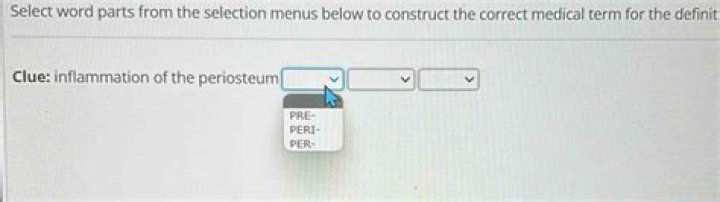 What Is Peri In Medical Term? (Correct answer)