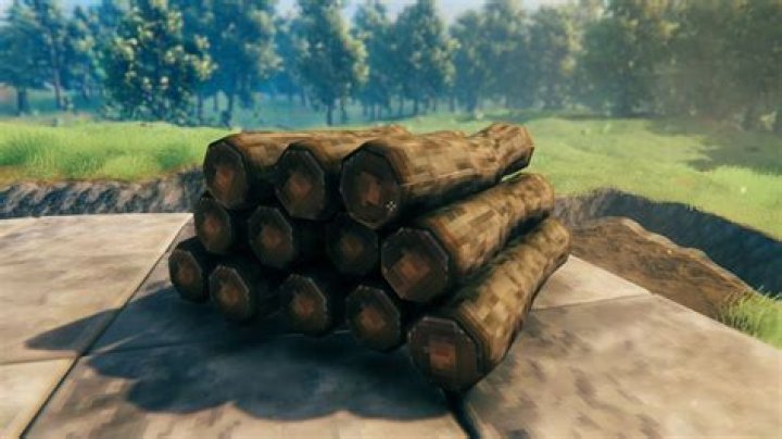 What is the heaviest stack in Valheim?