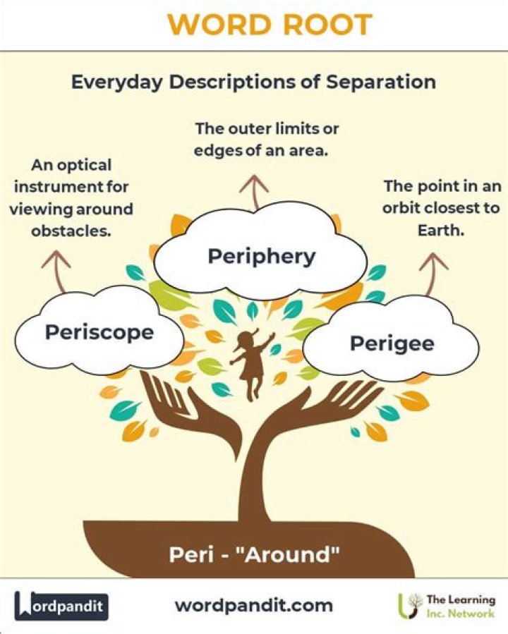 What Is Word Part Peri Means? (Question)