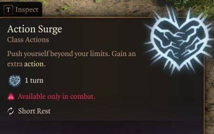What level do fighters get action surge bg3?
