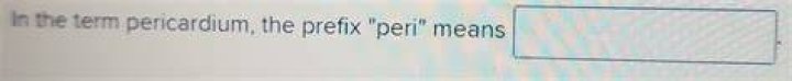 What Prefix Peri Means? (Solution)