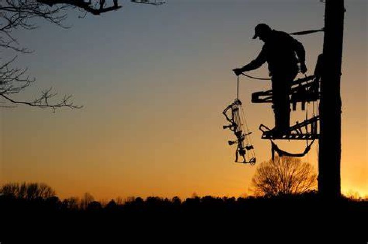 What should you wear when using a tree stand?