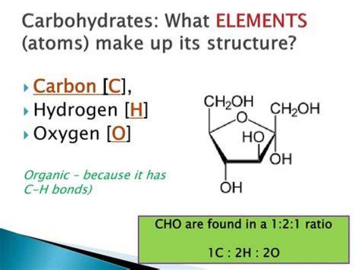 What three elements make up fat?