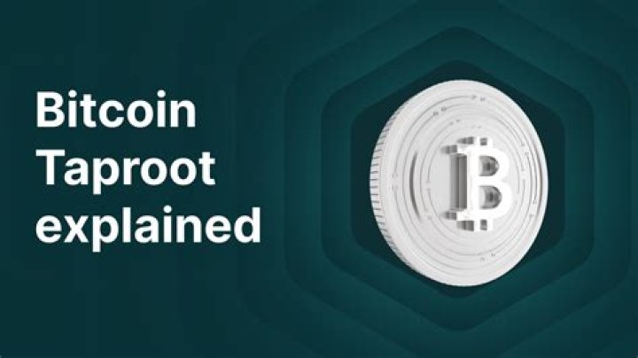 When Is The Bitcoin Taproot Release Date, And What Is The Bitcoin Taproot?