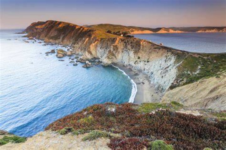 Where Are dogs allowed at Point Reyes?