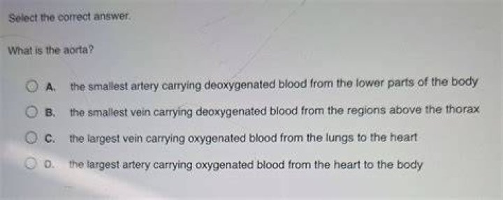Where Is The Peri Aorta? (Correct answer)