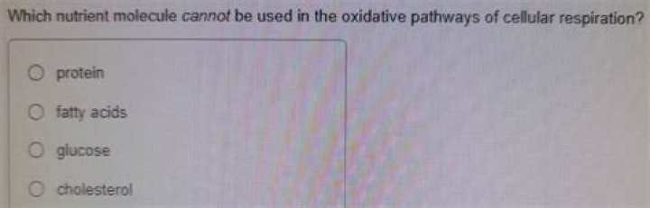 Which nutrient molecule Cannot be used in the oxidative pathways which nutrient molecule Cannot be used in the oxidative pathways?