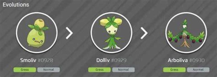 Who does Smoliv evolve into?