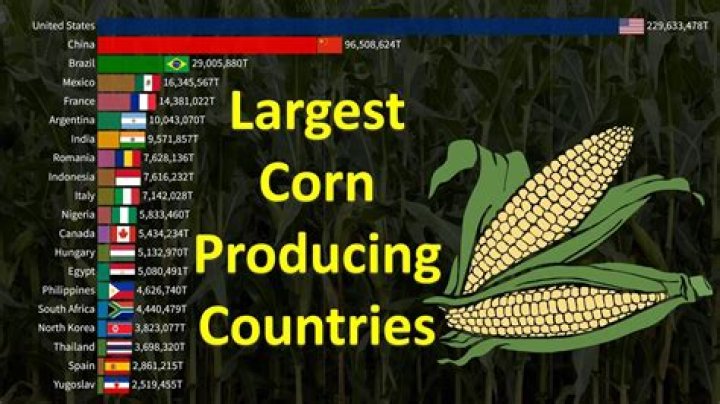 Who eats the most corn in the world?