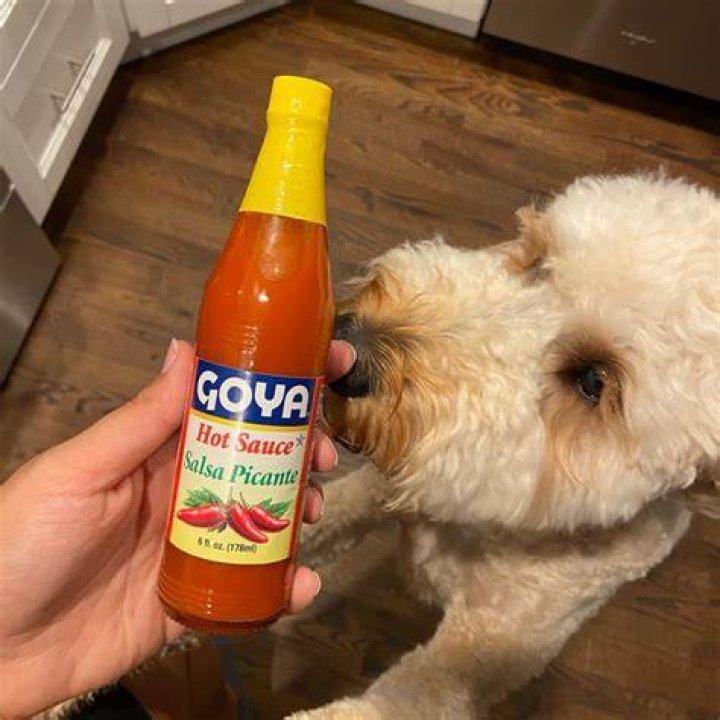 Why Do I Crave Goya Hot Sauce? (Question)