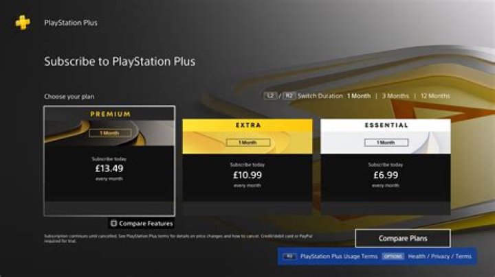 Why do I have to pay for PlayStation Plus?