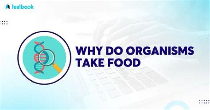 Why do organisms eat food?