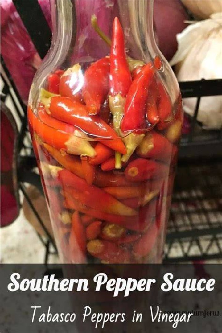 Why Do Restaurants Put Vinegar In Hot Sauce? (Correct answer)