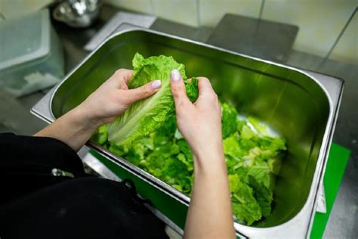Why Does Lettuce Absorb Chili Oil? (Solved)