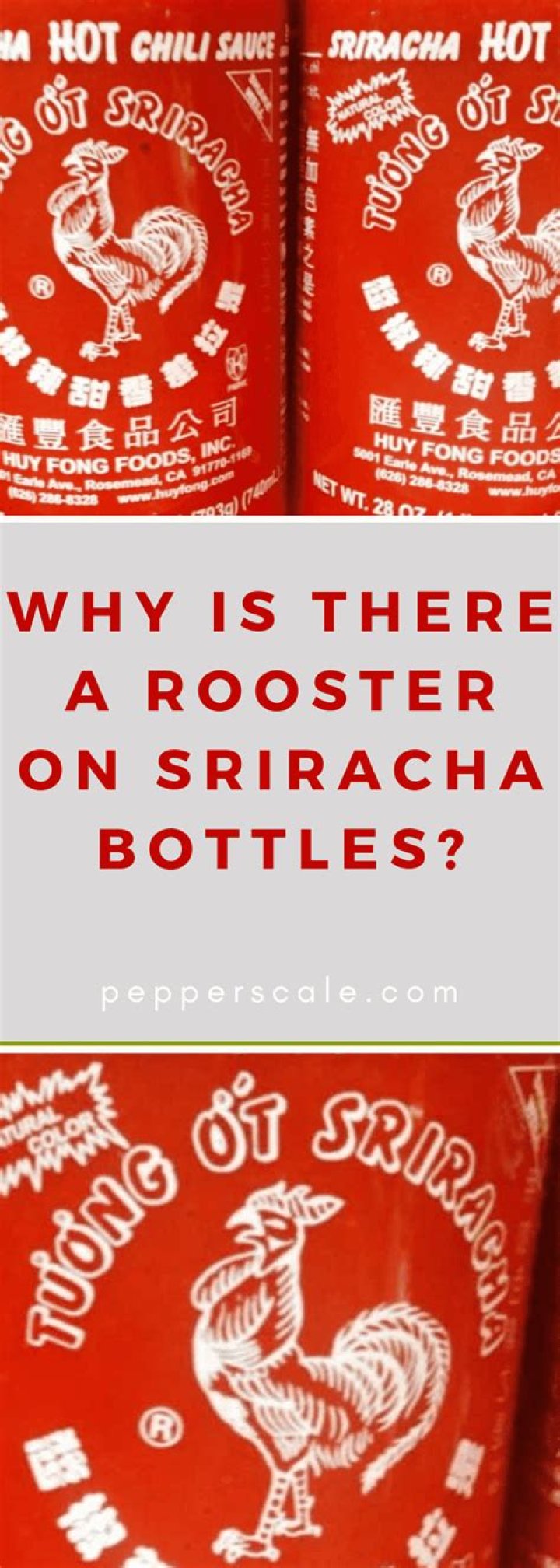 Why Is Sriracha Called Rooster Sauce? (Correct answer)