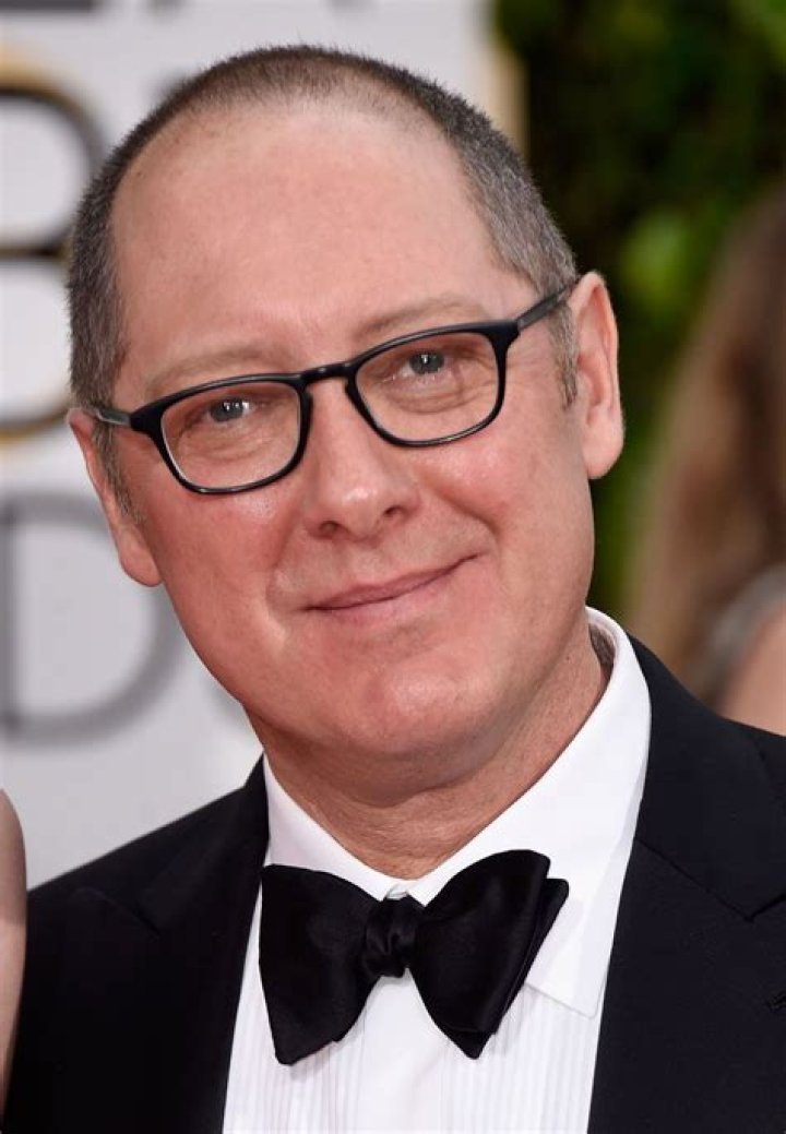 Why James Spader's Reason for Doing the Show Backfired