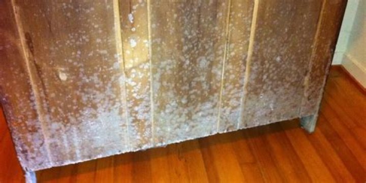 Will OxiClean kill mold on wood?